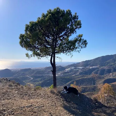 Apartment El Nido By Bh Marbella