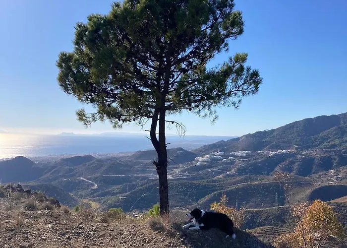 아파트 El Nido By Bh 마르베야