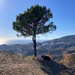 Apartamento El Nido By Bh Marbella